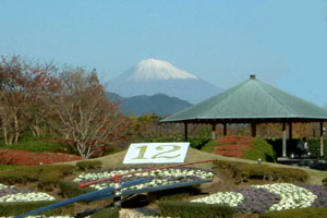 2004.11.28城北公園にて撮影
