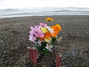 �����{�i2021.11.9��O��C�݂ɂĎB�e�j